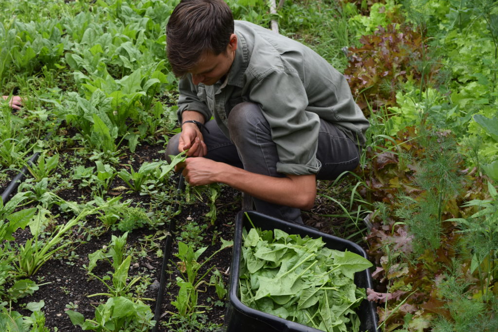 Open Farms