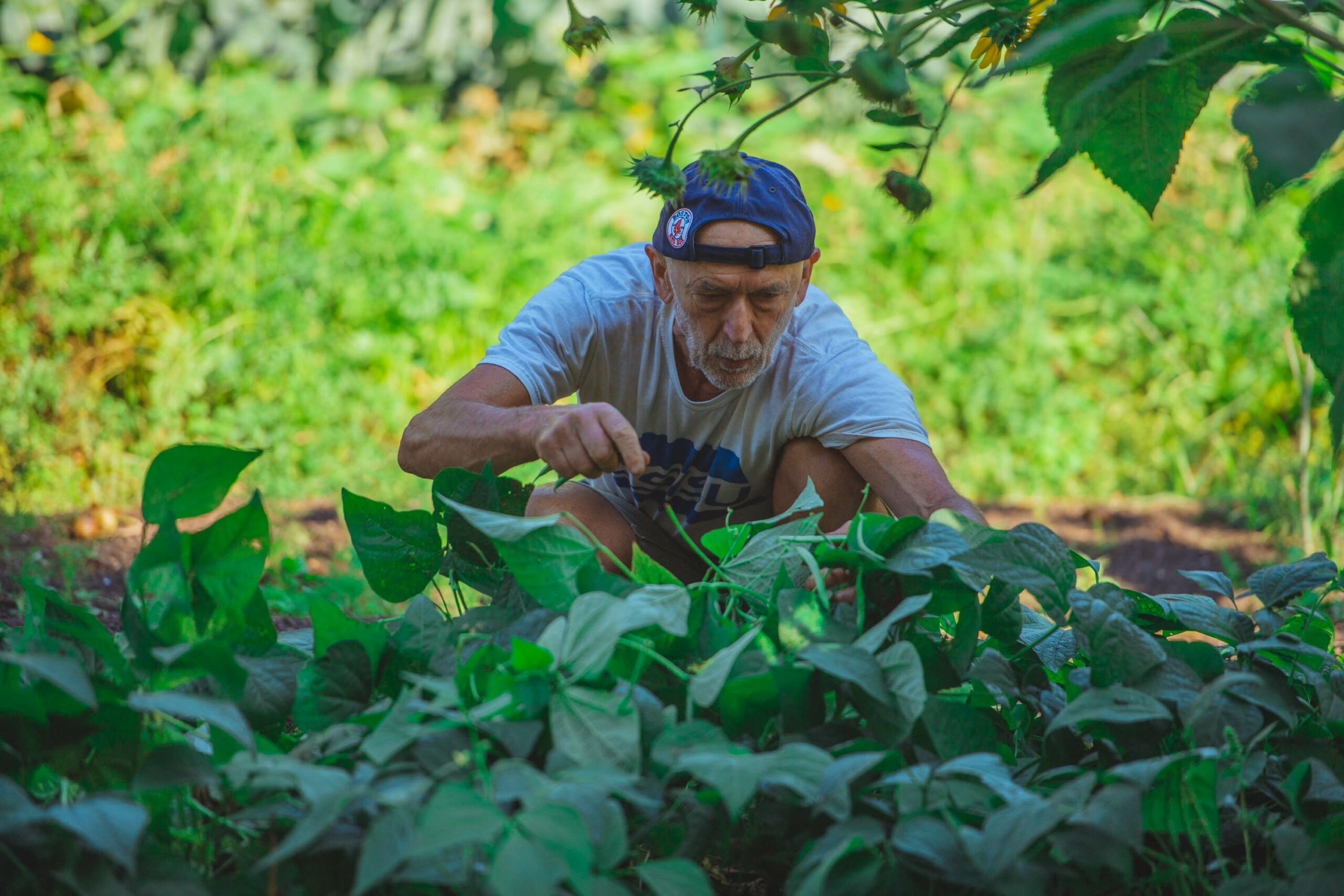 Open Farms volunteer.